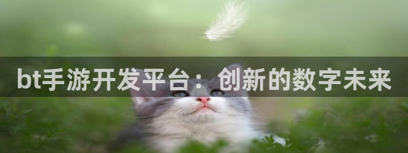 pc28大神开奖结果查询：bt手游开发平台：创新的数字未来