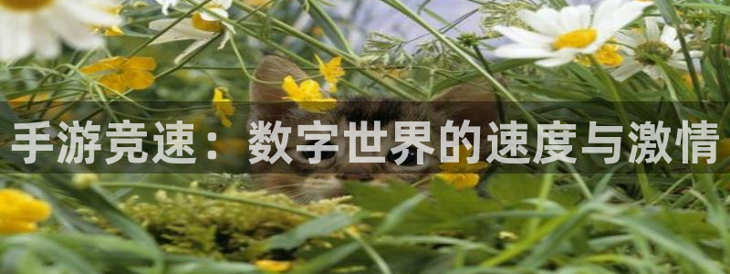 豪门国际结果预测在线