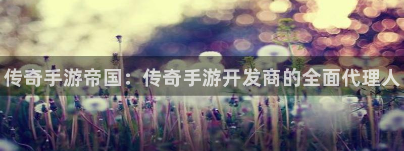 最新28大神预测