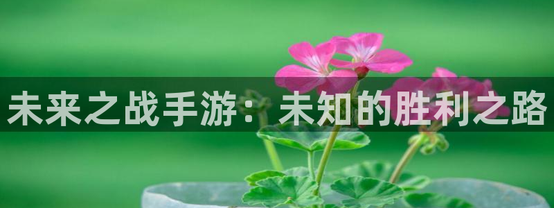 28大神玩法：未来之战手游：未知的胜利之路