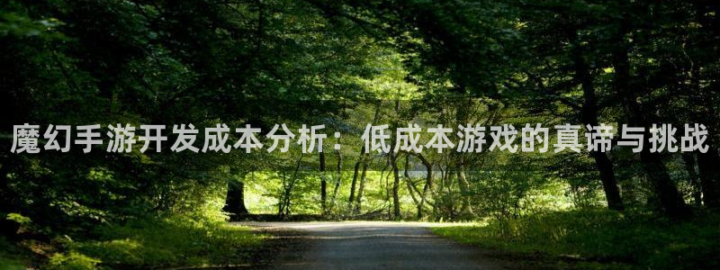 28大神玩法：魔幻手游开发成本分析：低成本游戏的真谛与挑战