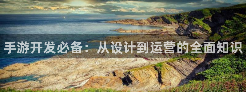 28大神下载苹果：手游开发必备：从设计到运营的全面知识