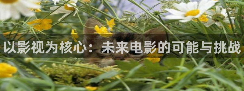 777米奇影视第四色：以影视为核心：未来电影的可能与挑战