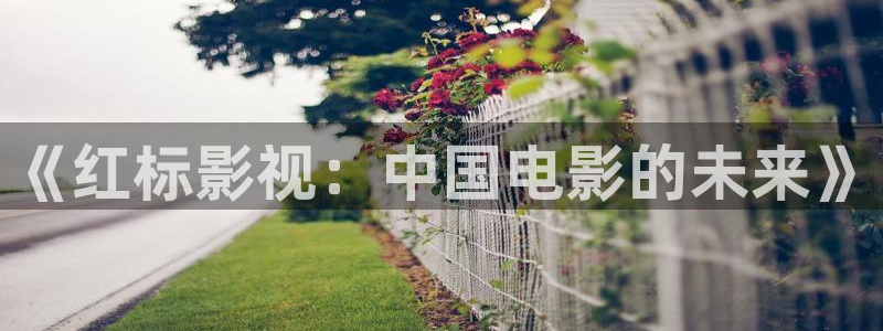 米奇影院777：《红标影视：中国电影的未来》