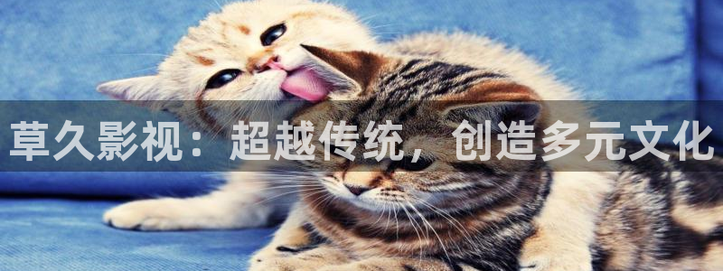 米奇影院97色：草久影视：超越传统，创造多元文化