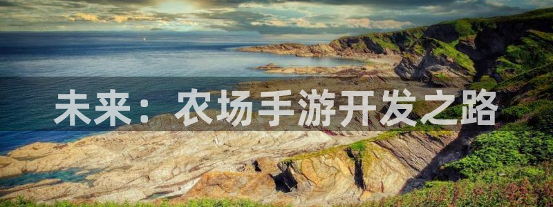 豪门国际大发28：未来：农场手游开发之路