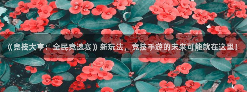 豪门国际官网开奖结果：《竞技大亨：全民竞速赛》新玩法，竞技手