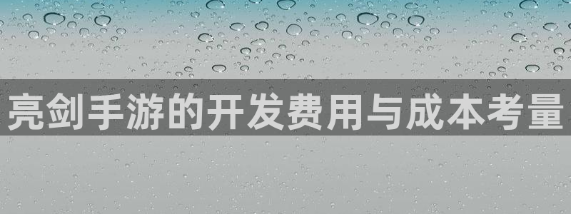 28大神加拿大：亮剑手游的开发费用与成本考量